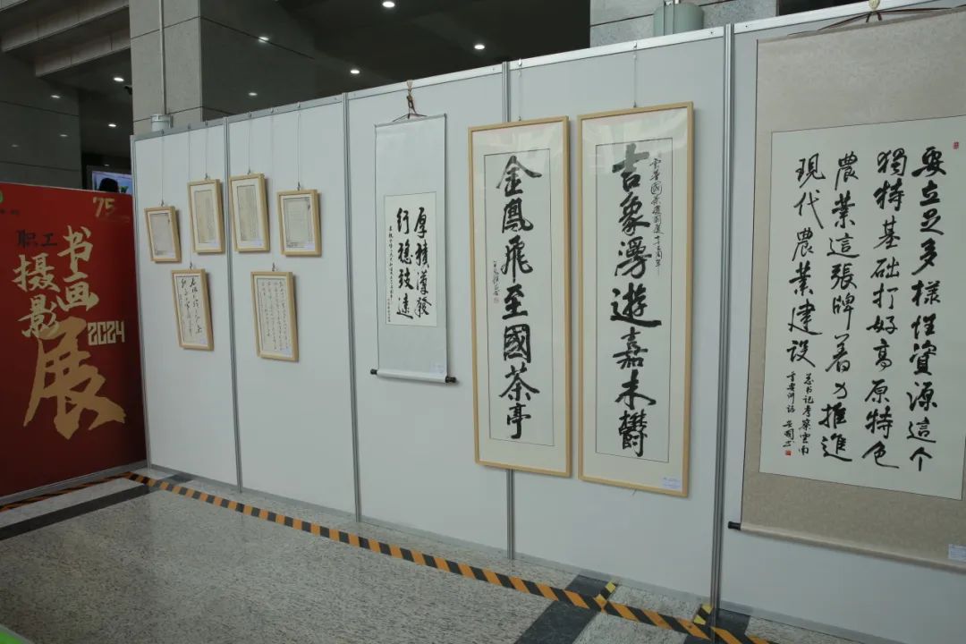 六宝典大全资料图