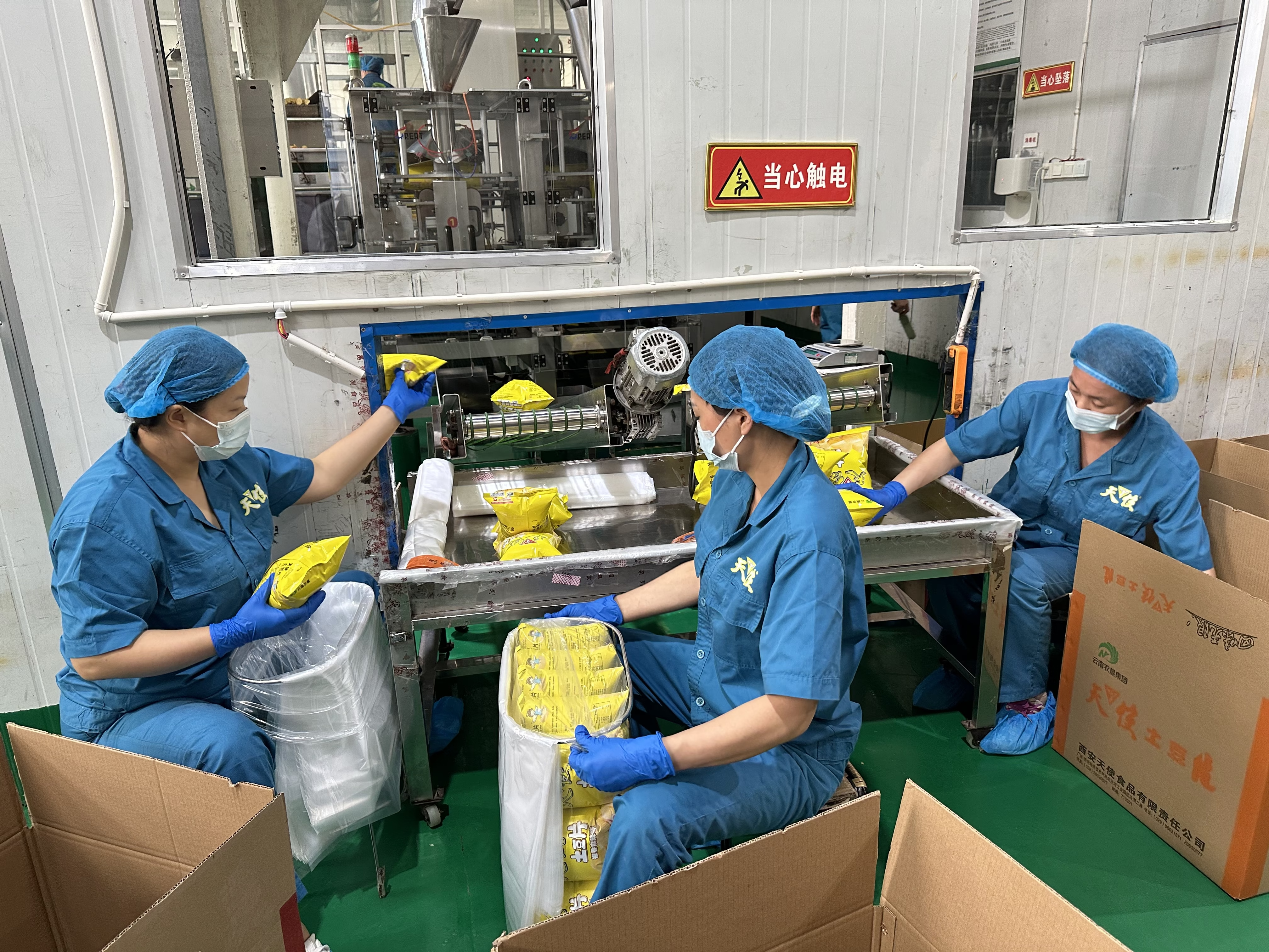六宝典大全资料图